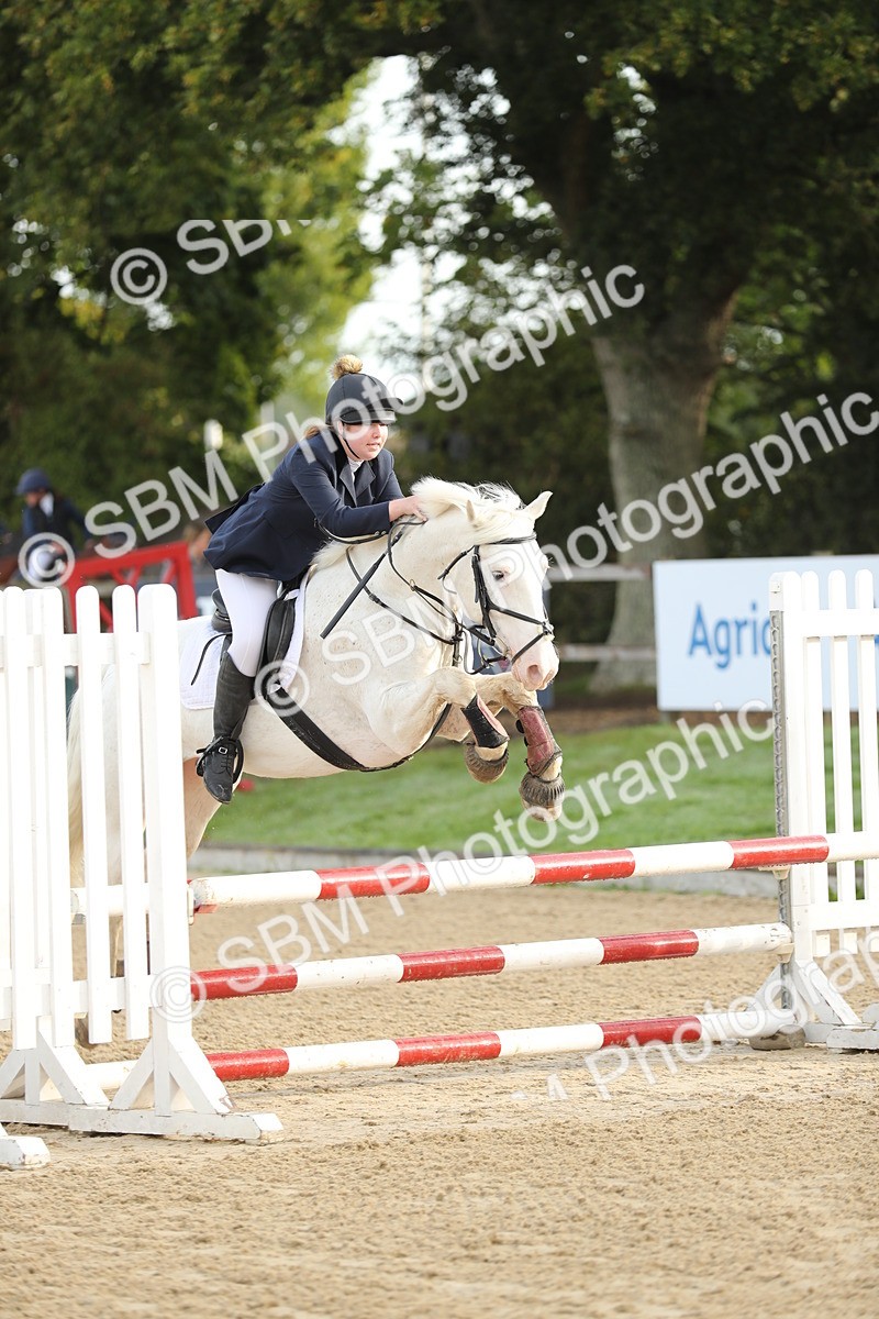 SBM_55979 - J24 - Junior Horse 75cm Championship
