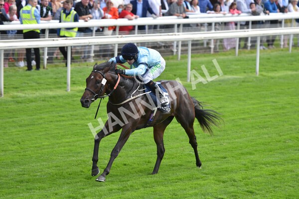 yr18082021r2-23 - Race 2 2.25pm Tattersalls Acomb Stakes