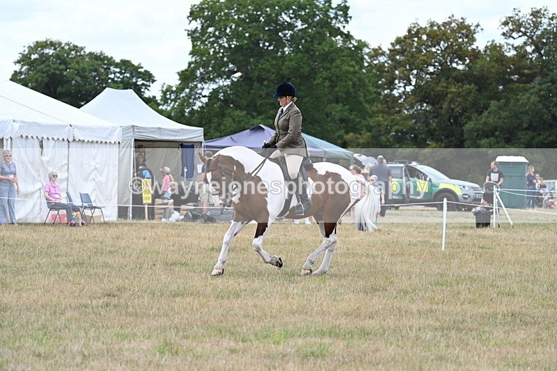 WJ7_5075 - Class 12 Ridden Cob