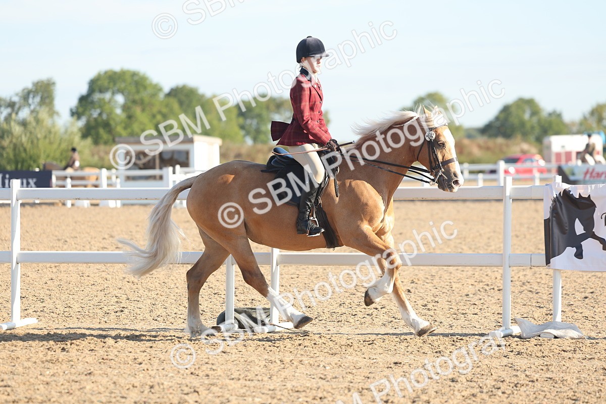 SBM_10991 - Class 302 - Ridden M&M Large Breeds