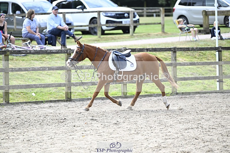 240823X-130454-17391 - 60cm R2 12.30 to 14.40 - All Photos