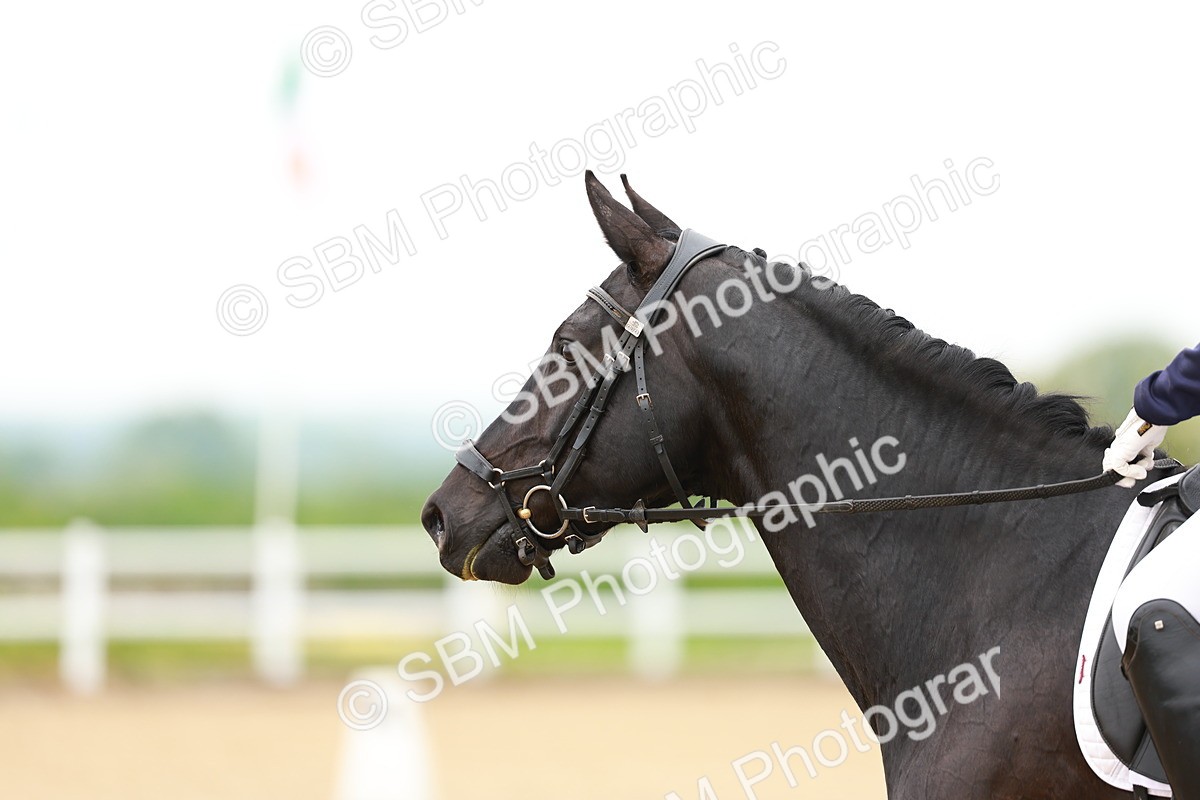 SBM_004742 - Class 15 - Novice 5