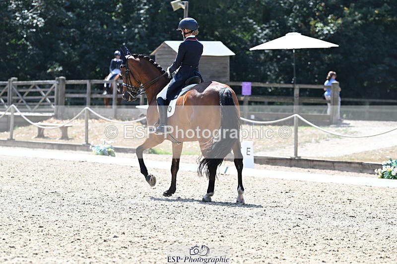 250810A-134930-07118 - 111-Elizabeth.AllenHeraldik