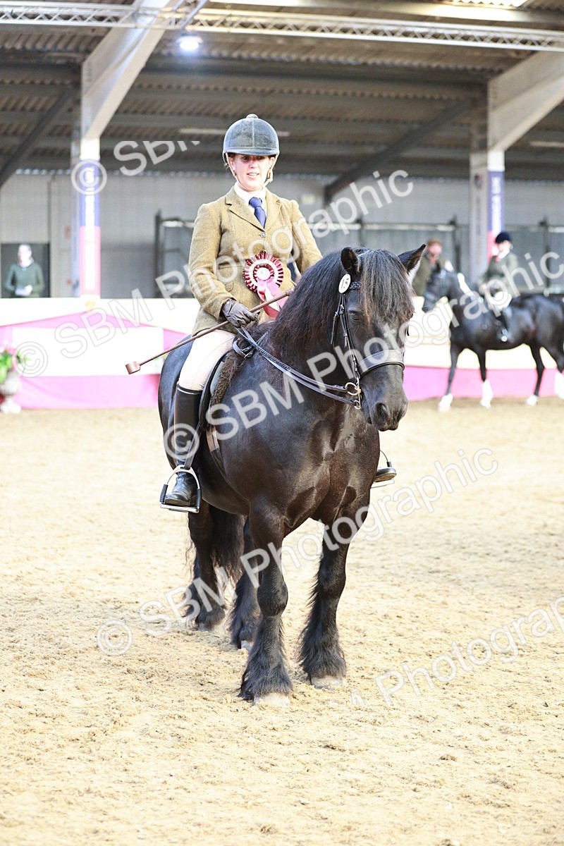 SBM_09136 - Class 12R - Regional Ridden Pre-Vet