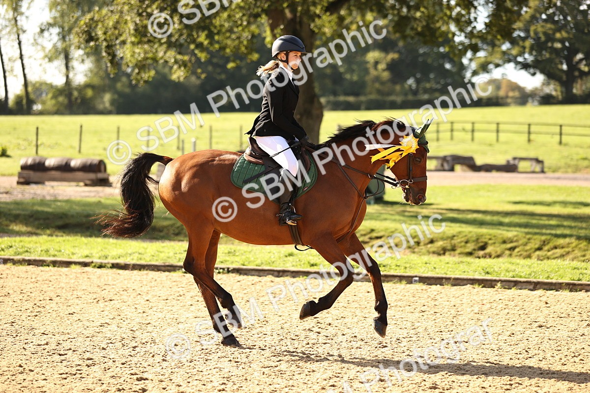 SBM_35245 - J38 - Senior 80cm Championship