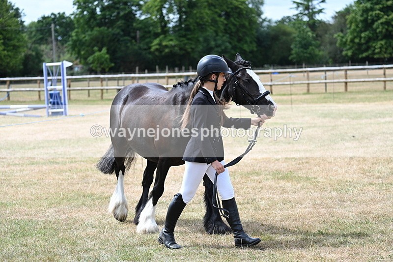 WJ7_1665 - Class 4 Prettiest Mare up to 14.2hh in hand