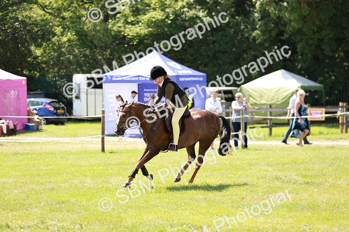SBM_15578 - Class 108-109 - BSPS LIHS Open Gradle & Nursery Stakes