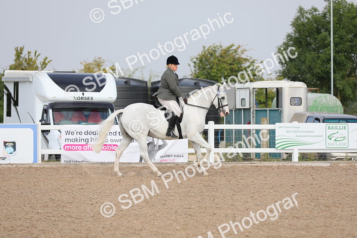 SBM_10878 - Class 304 Ridden Part Bred Horse/Pony
