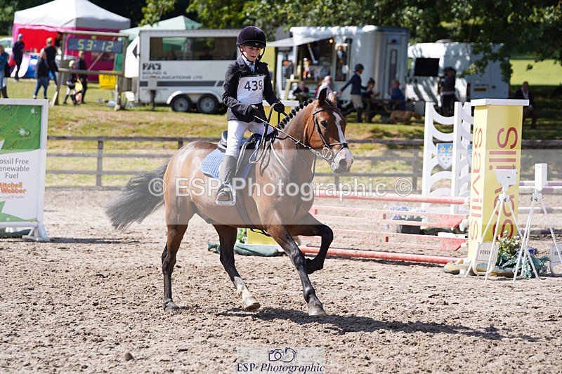 240824X-140206-28006 - 80cm Round 1 14.00 to 15.30