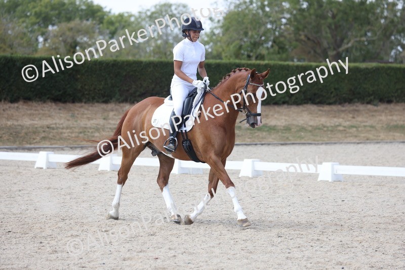 20260815-0969 - Class 5 - Novice 1