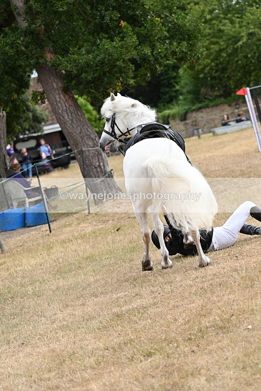 WJ7_0405 - Class 6 Ridden Mountain and Moorland