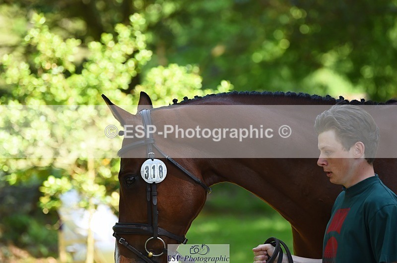 230524-151804-00193 - 318-JUST_HAVE_FAITH_TN-Alfie_Marshall-WEDTrotUp+DR