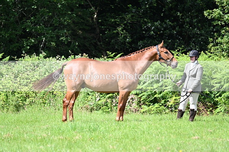 WJ7_1317 - Class 11 Condition & Turnout