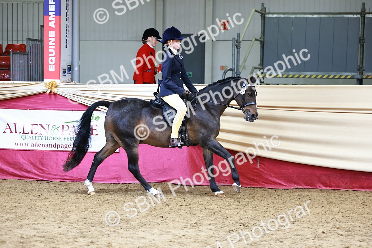 SBM_23729 - Class 905 - Supreme Final - Ridden Veteran