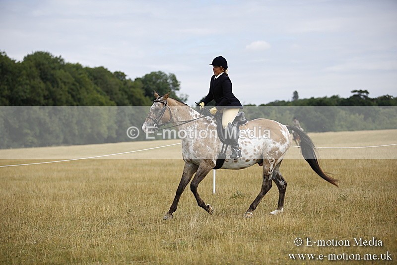 _C7A9518 - BVRC Show 2018 Ring 1