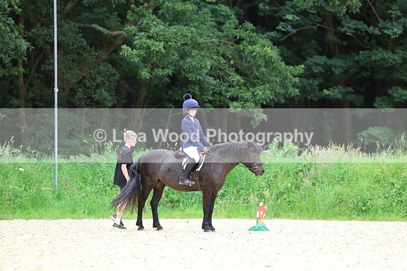 3E7A9311 - Walk trot run