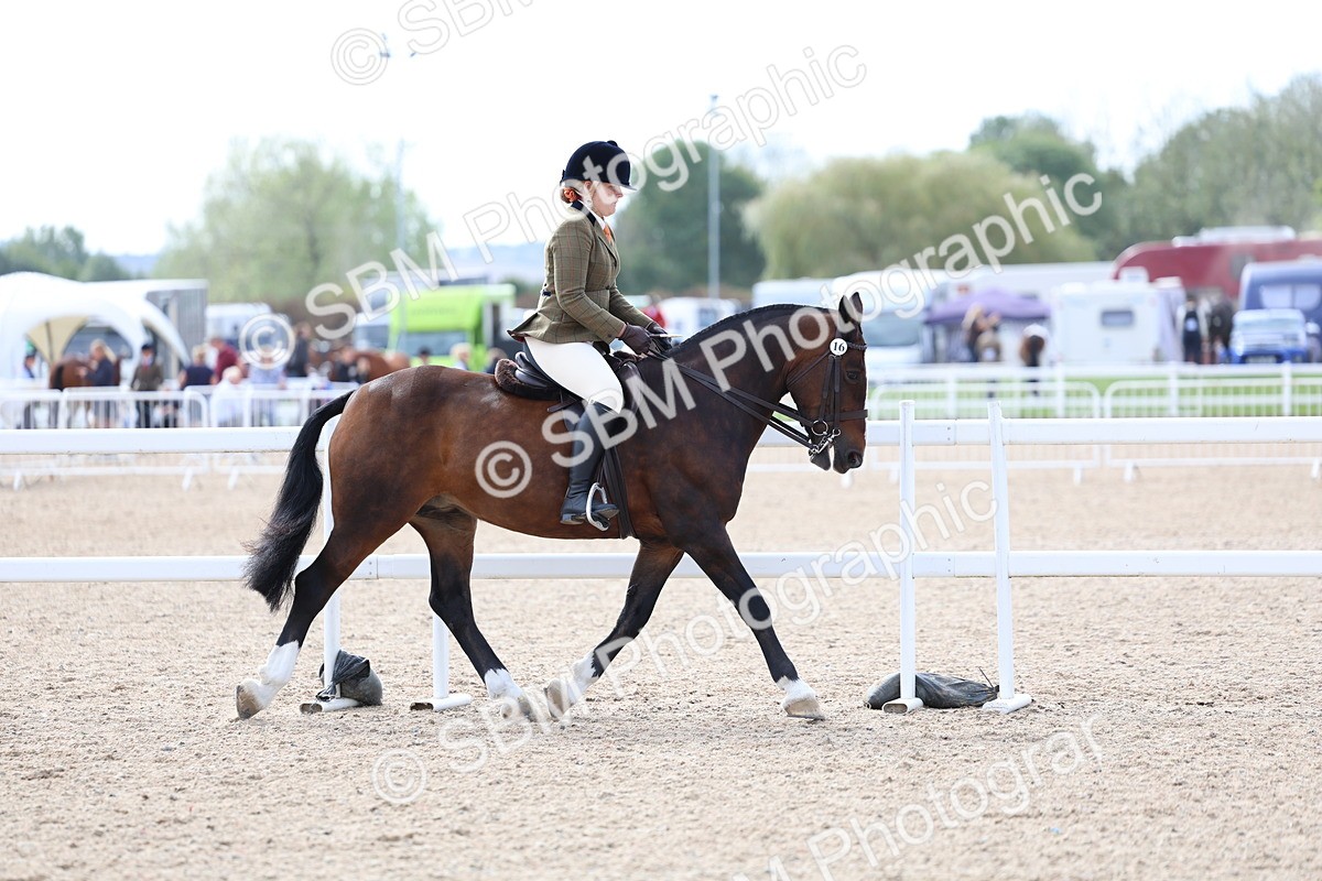 SBM_18859 - Young Rider Championship