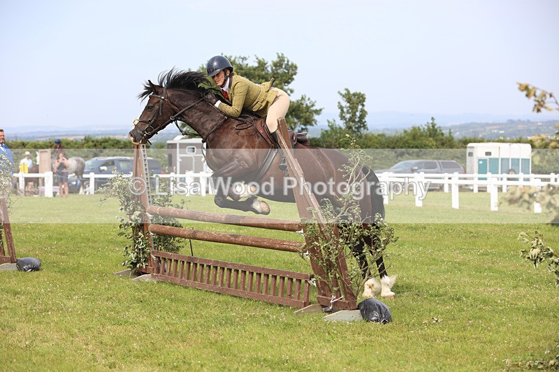JPP_4024 - Class 24: Working Hunter 90cm