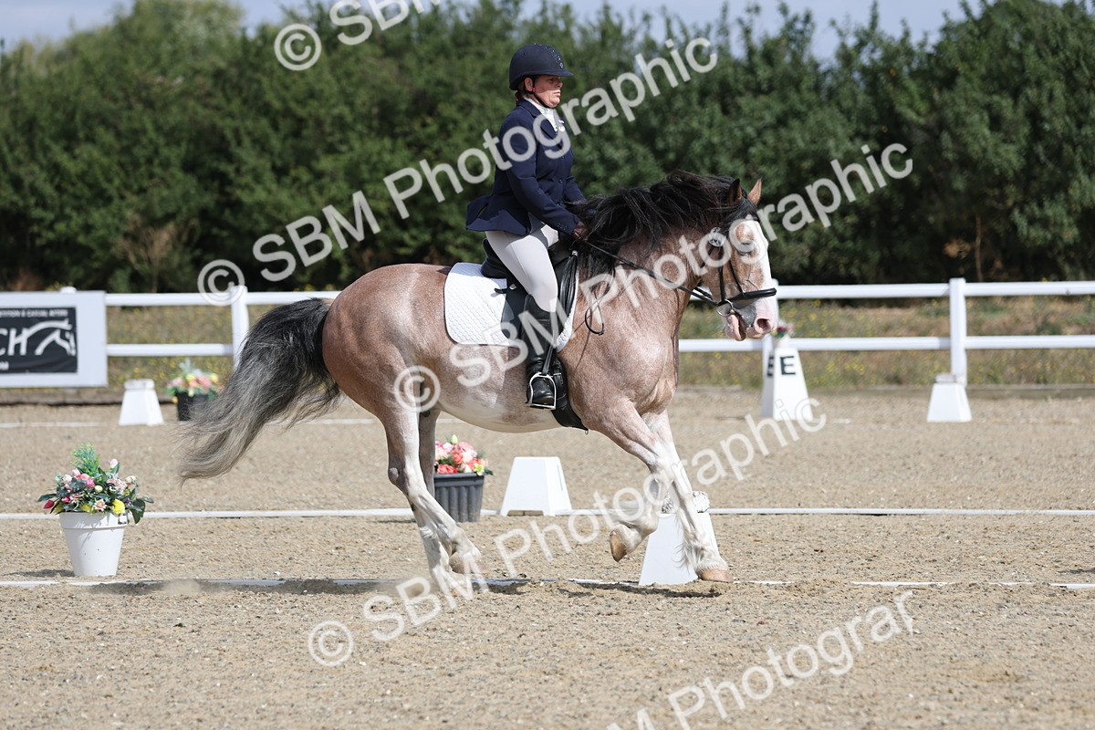 SBM_020937 - Class 21 - M5 Bronze 10.58.12.10