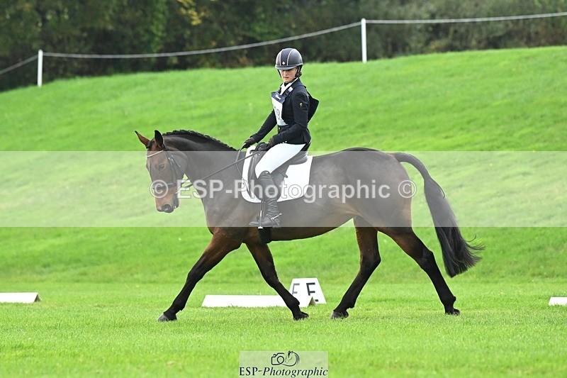 241024-114619-03316 - 509-Tichy.Sanders-SPARHANGER.VELVET