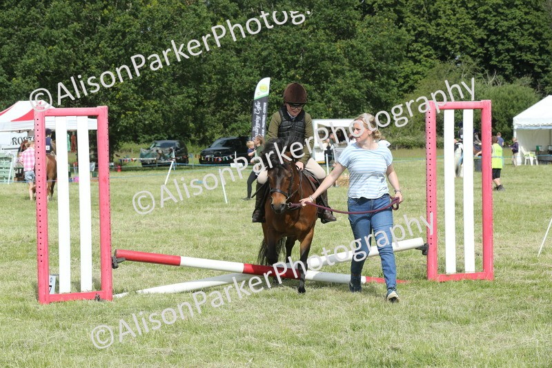 20260614-0139 - Class 1 - 30cm Lead Rein