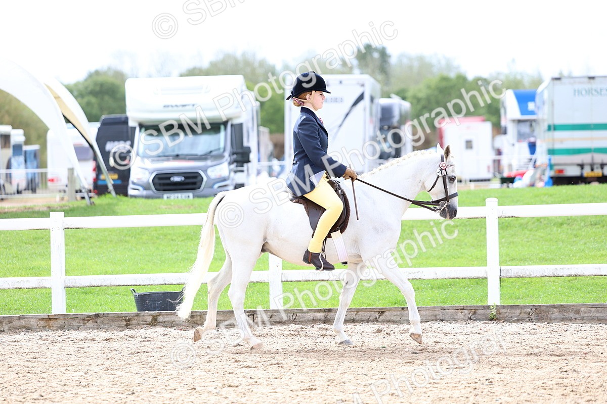 SBM_01827 - Class 18 - Handsomest Gelding - IH or Ridden