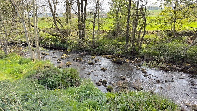 019 Heading for the River Nidd the Foster Beck on our right - York Minster Walkers Collection 2026