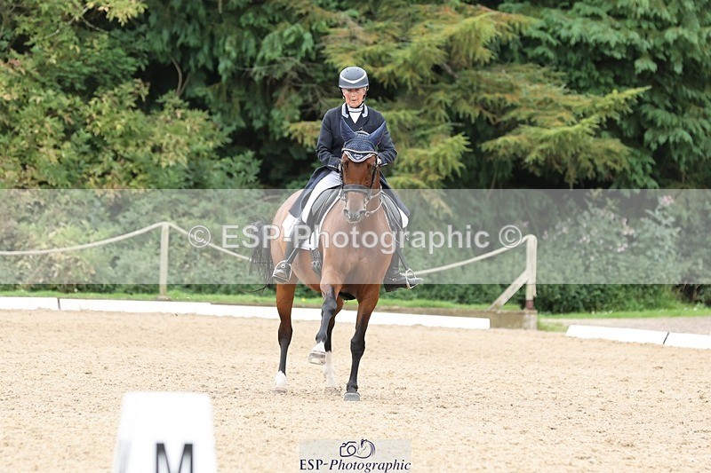 240810-151803-03956 - 231-Louise.Hutchinson-Donnarella