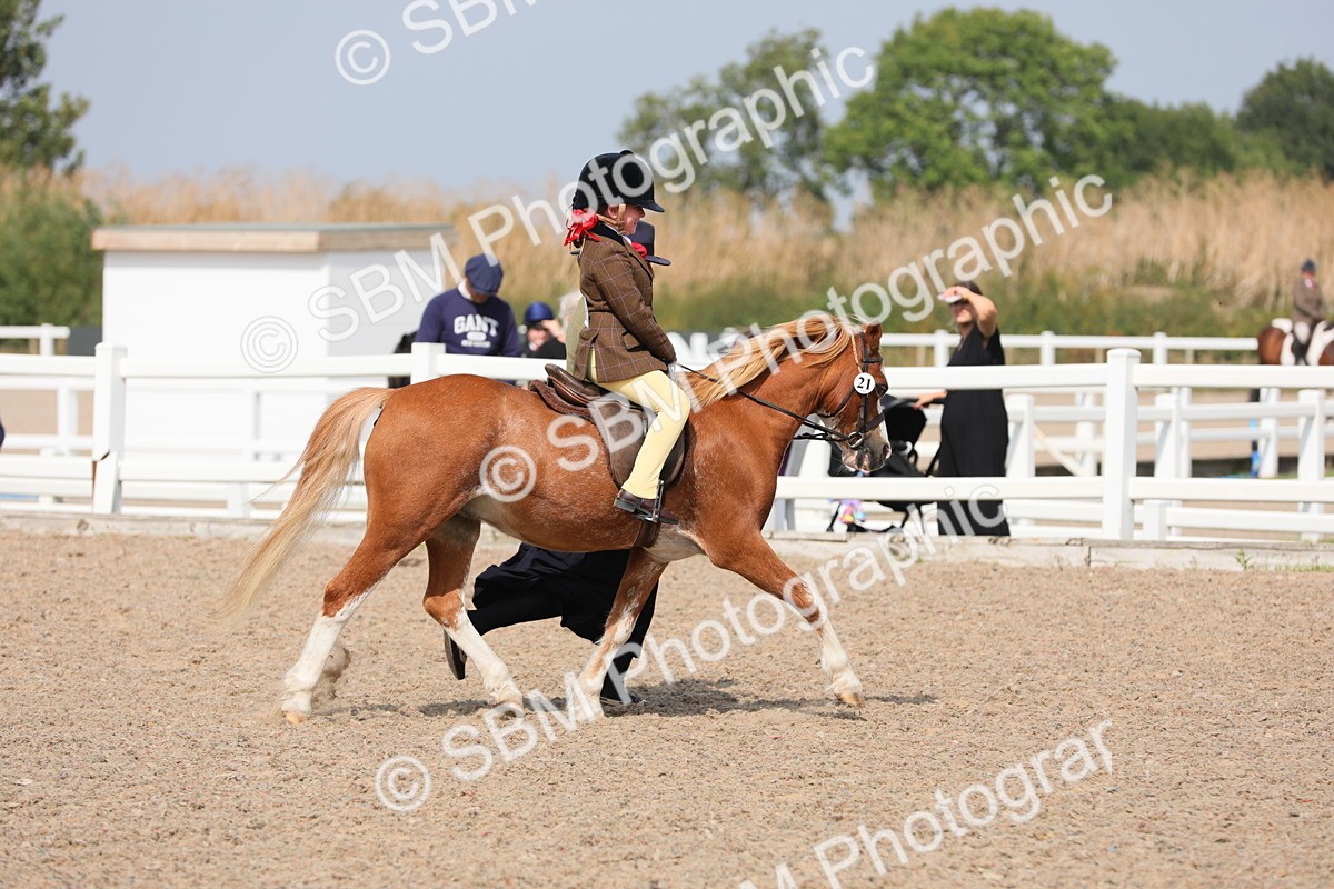 SBM_14072 - Class 309 Lead Rein Pony