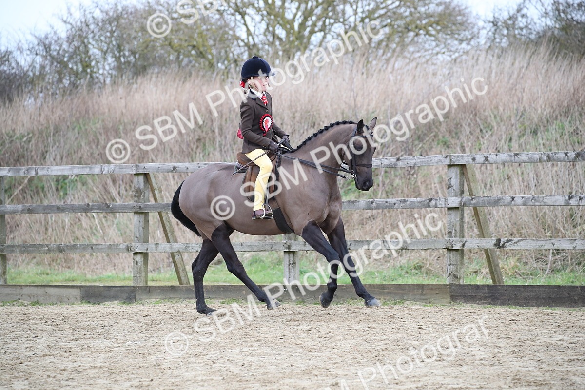 SBM_004795 - Class 5-9 - NPS In Hand-Show Hunter-Intermediate Ridden Inc Ridden Championship