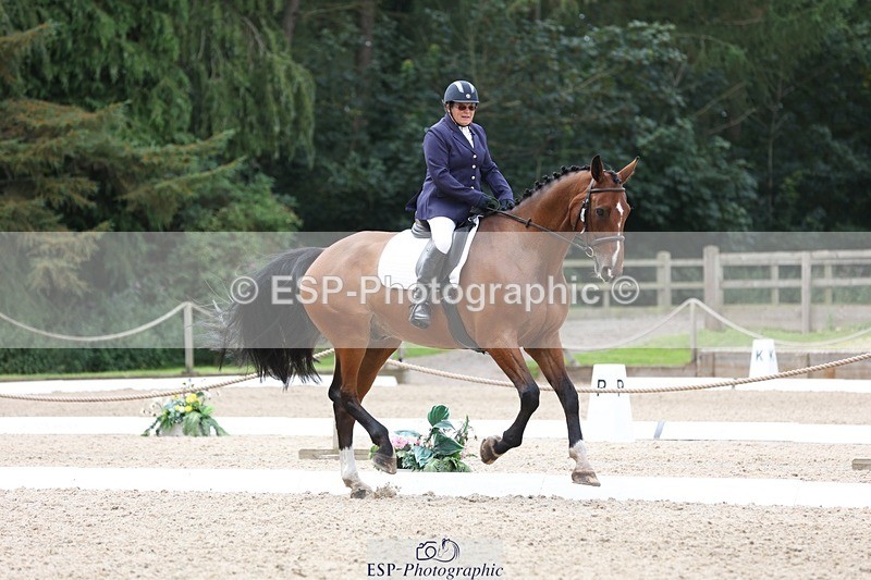 230812-120831-03937 - Cls 5 Novice Bronze 11.15 to 12.50 break