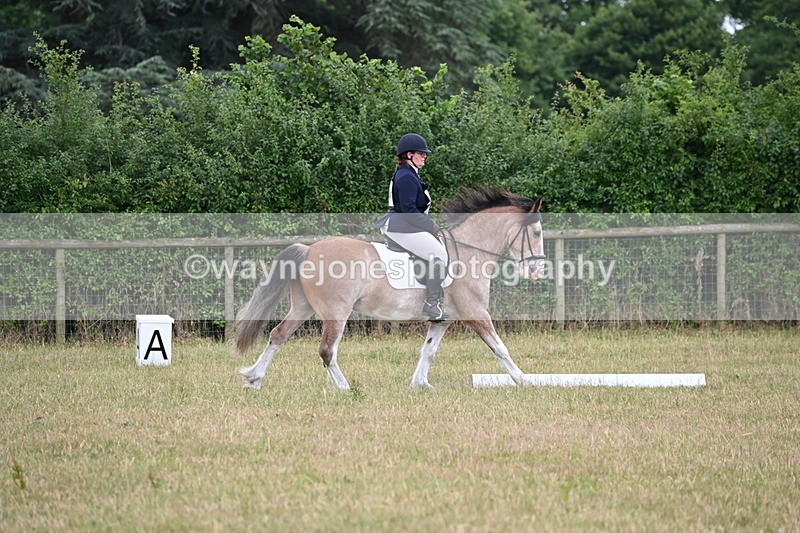 WJ6_3014 - Time 11:07 to 11:34