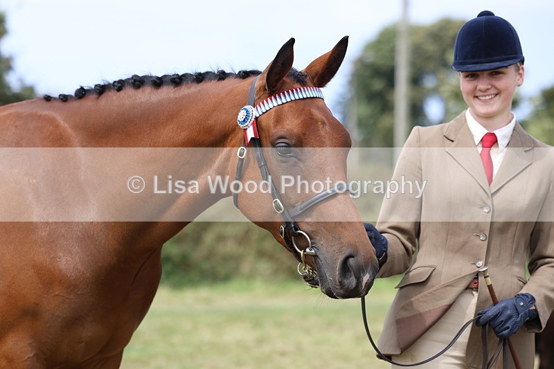 3E7A5573 - Class 20: Sports Horse In Hand