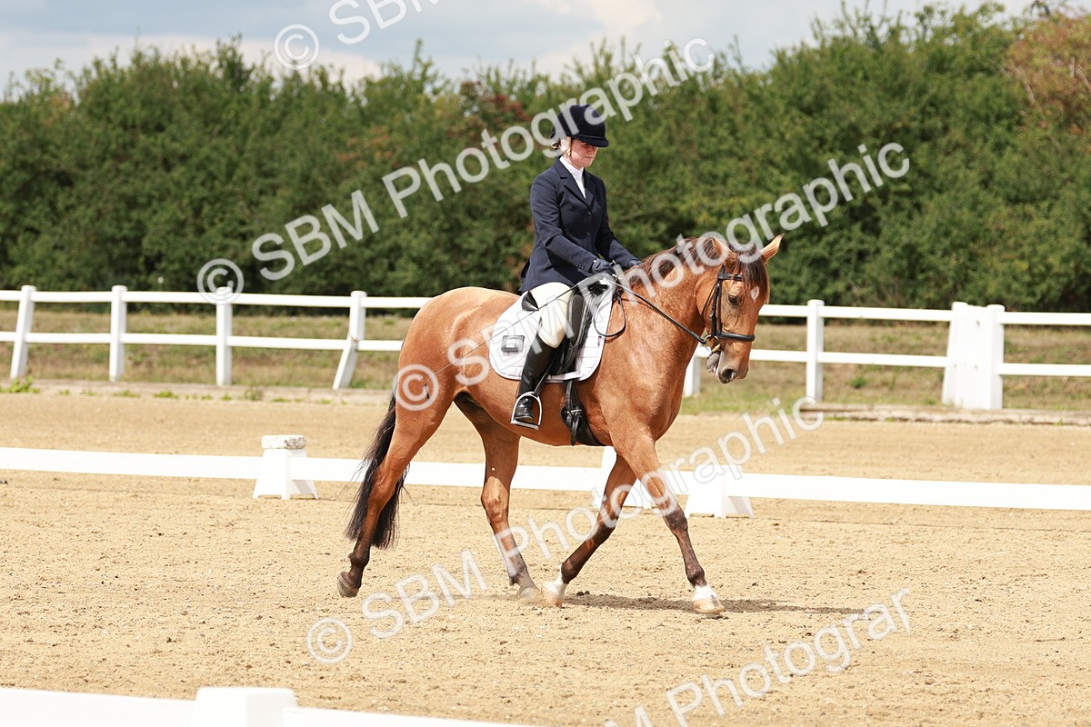 SBM_001740 - Class 8 - Elementary 6