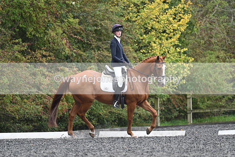 WJ7_6628 - Time 14:49 to 15:14