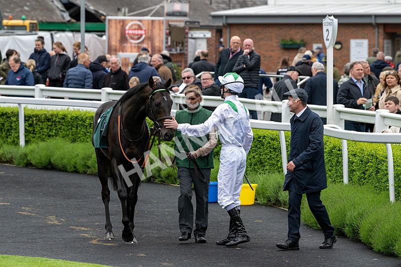 230524-Race 3-See The Green-1491 - Race 3