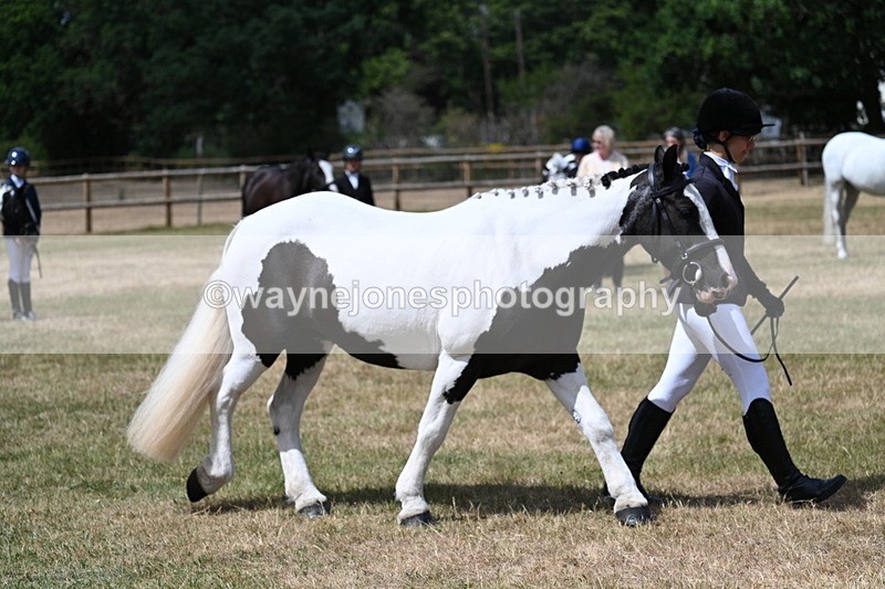 WJ7_1739 - Class 4 Prettiest Mare up to 14.2hh in hand