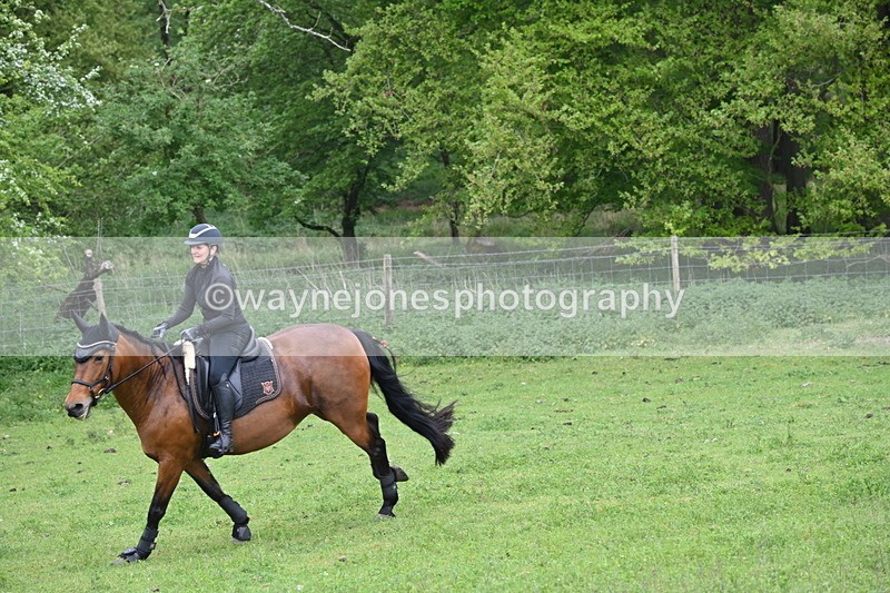 WJ6_2642 - A camera