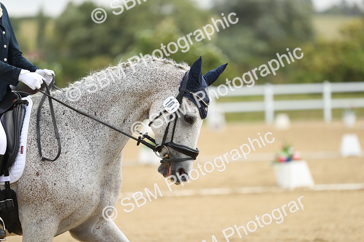 SBM_015083 - Class 13 - Novice 23 - 8,30-9.33