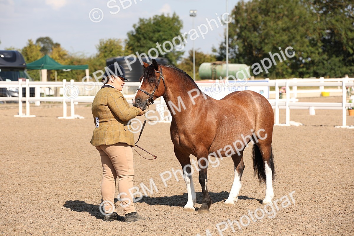 SBM_02755 - Class 16 IH M&M Wildcard