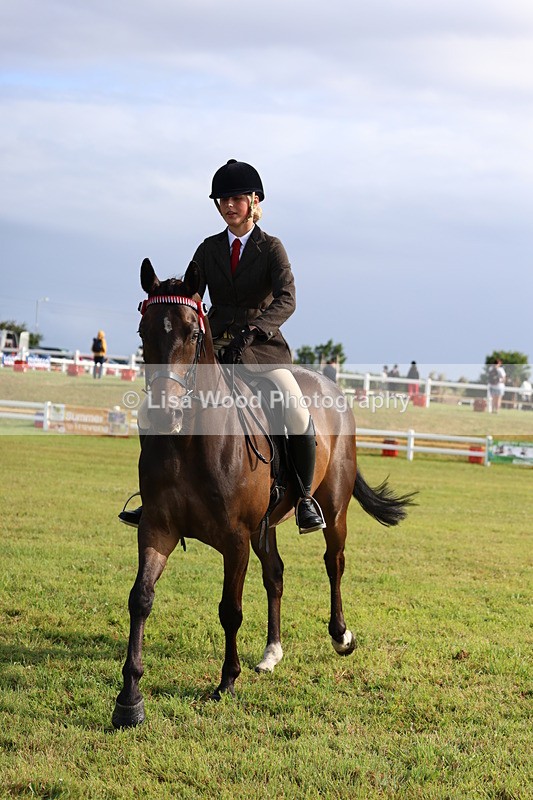 3E7A8253 - Class 2: Rising Star Large Hack/Riding Horse