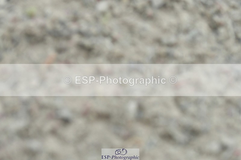 230305A-133419-00995 - Cls 5 Novice 28