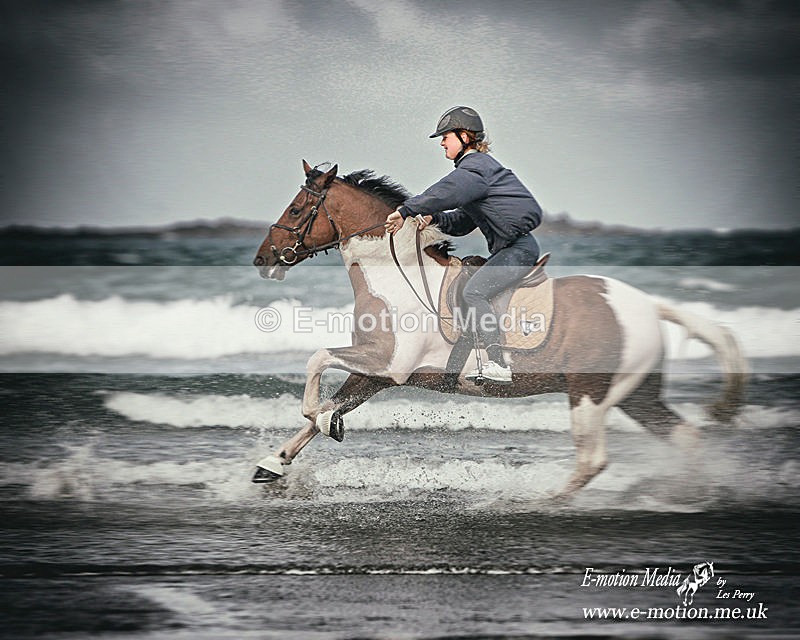 HOYVaz 250808-107a - Equestrian