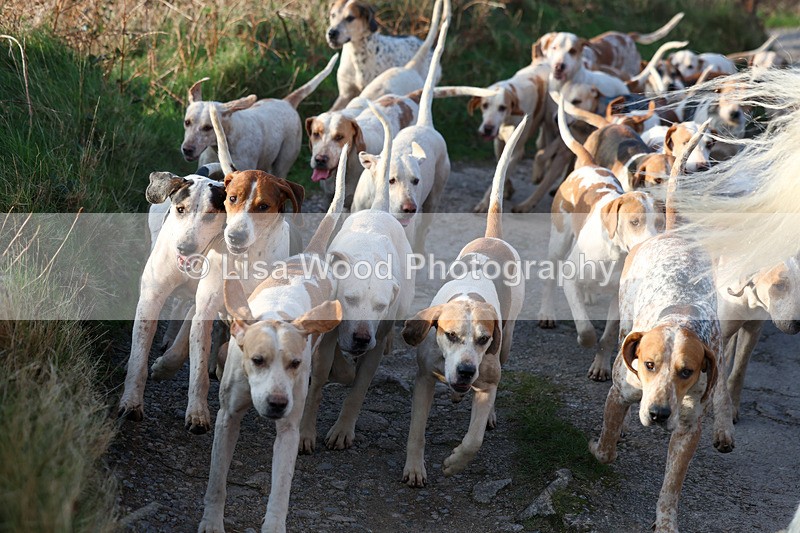 3E7A5264 - FBH Carn Brea 26.12.2025