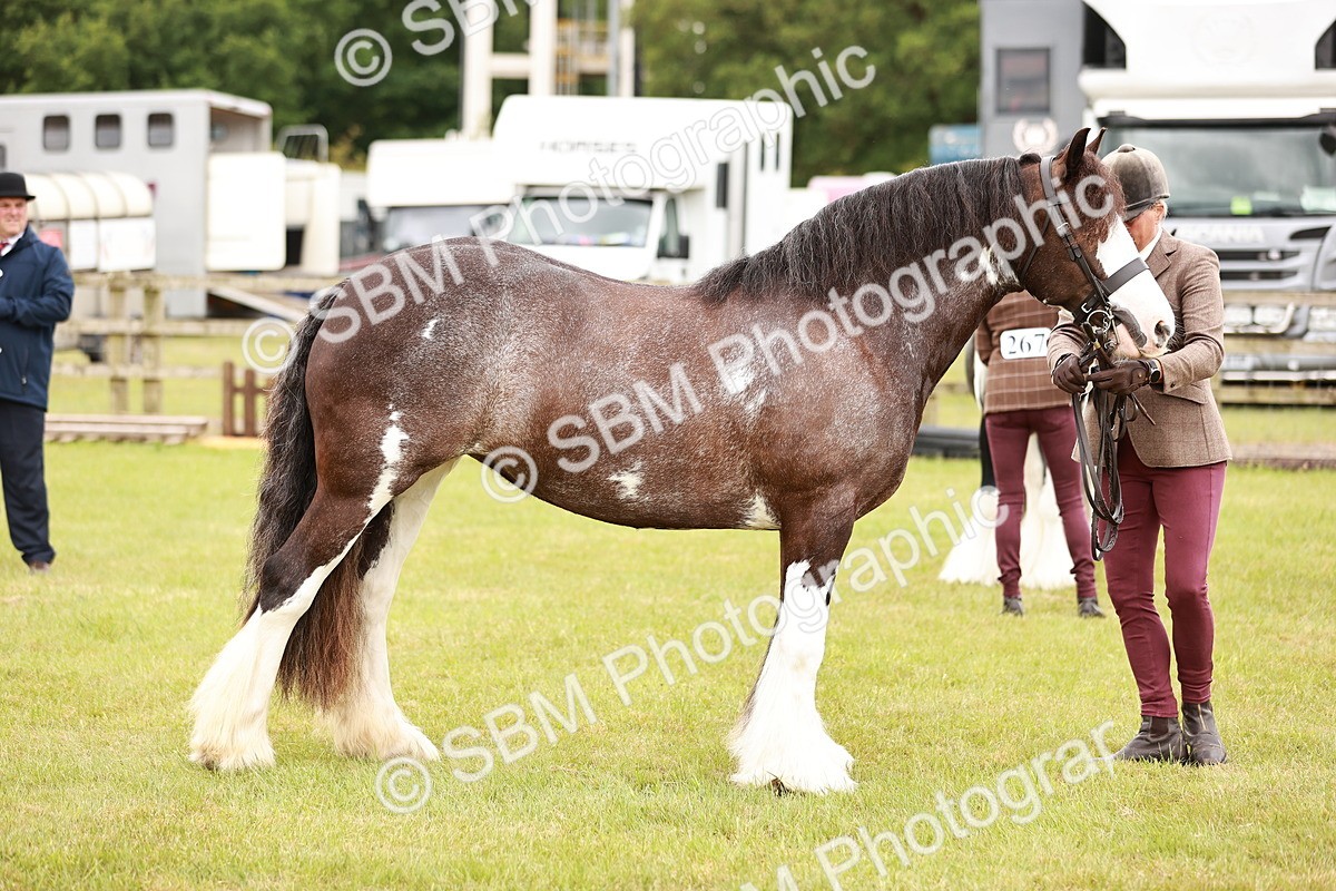 SBM_04679 - Class 5-8 - BSPA In hand