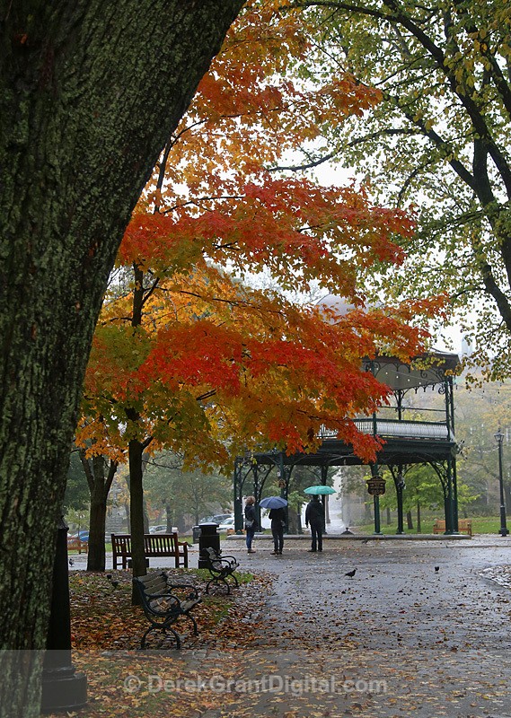 King's Square Saint John NB in Autumn - Autumn Foliage