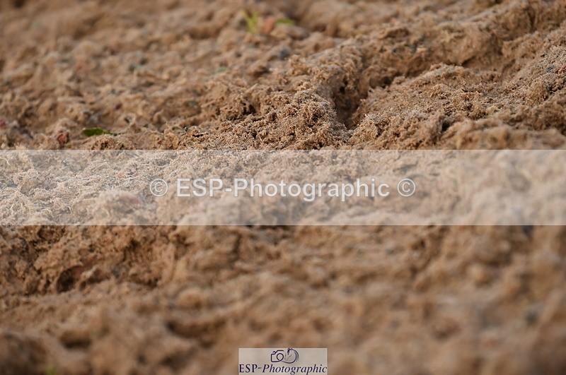 231104A-141008-02056 - Cls 10 Medium 61