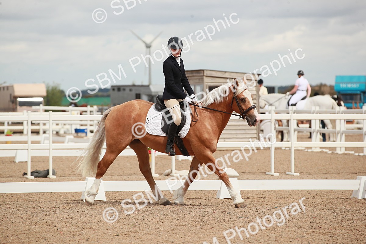 SBM_05887 - Class 32 - Novice 1