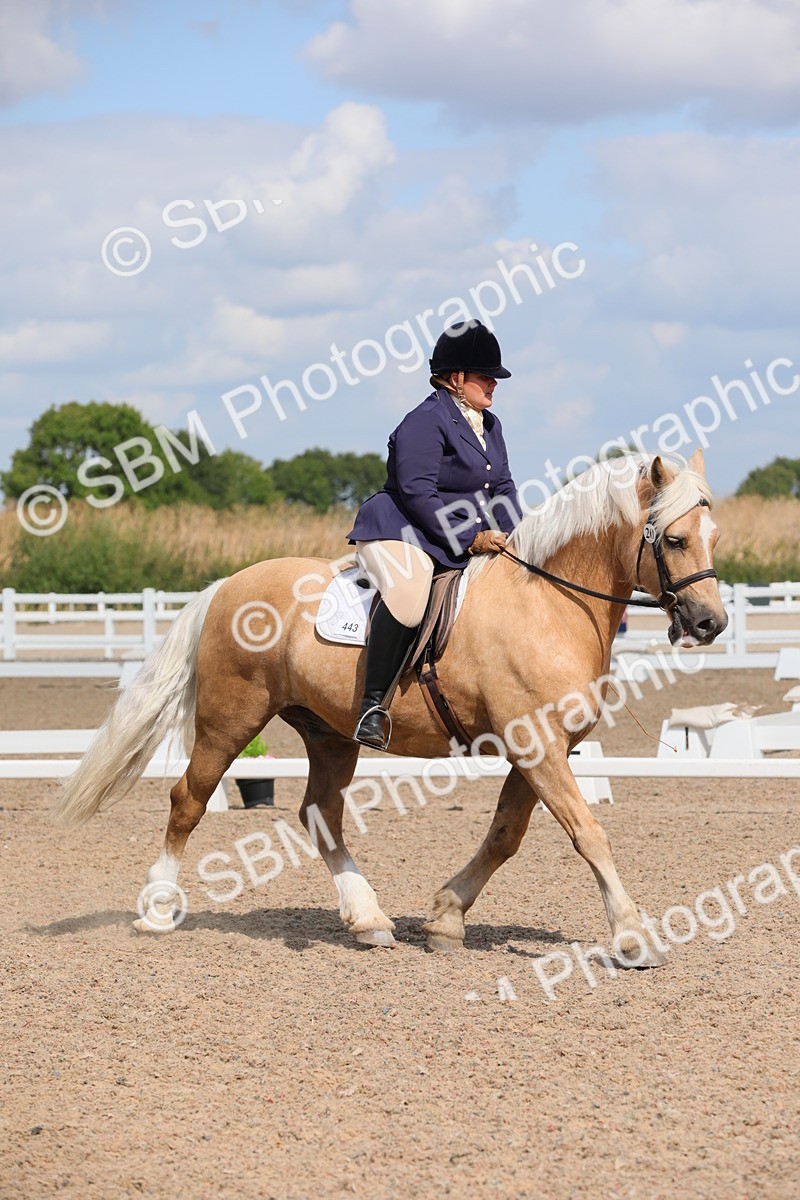 SBM_04027 - Class 31 Prelim 1