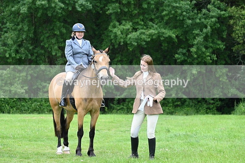 WJ7_4296 - Class 14A Handsome Gelding